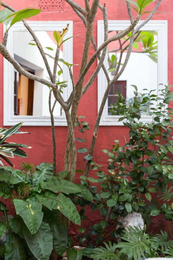 Central Cape Town, Stylish Home, With Private Courtyard Экстерьер фото